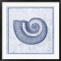 Framed Blue Nautilus D