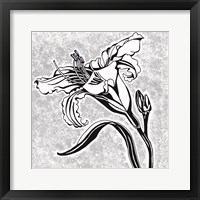 Special Delivery 2B Framed Print