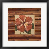 Pacific Paradise A Framed Print