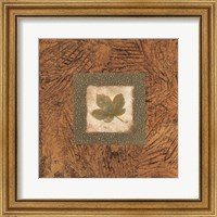 Framed Sedona Naturals B