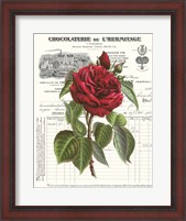 Framed Heirloom Roses A