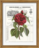 Framed Heirloom Roses A