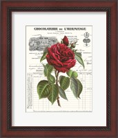 Framed Heirloom Roses A