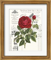 Framed Heirloom Roses B