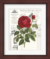 Framed Heirloom Roses B