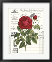 Framed Heirloom Roses B