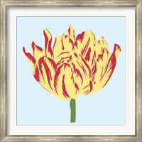 Framed Soho Tulip II