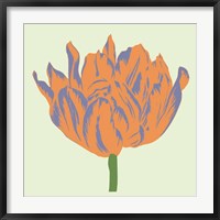 Framed Soho Tulip III