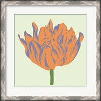 Framed Soho Tulip III