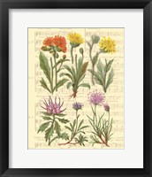 Framed 'Allegro II' border=