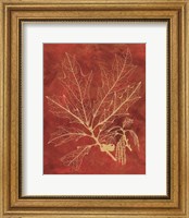 Framed Golden Oak I