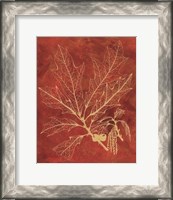 Framed Golden Oak I