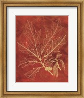 Framed Golden Oak I