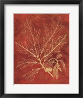 Framed Golden Oak I