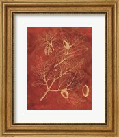 Framed Golden Oak II