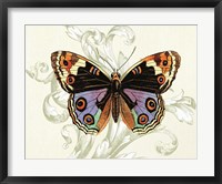 Framed Butterfly Theme I