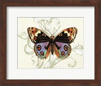 Framed Butterfly Theme I