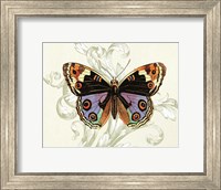 Framed Butterfly Theme I