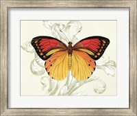 Framed Butterfly Theme III