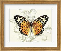 Framed Butterfly Theme IV