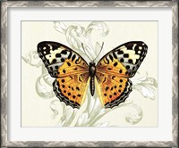 Framed Butterfly Theme IV
