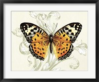 Framed Butterfly Theme IV
