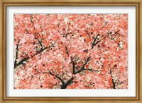 Framed Spring Theme