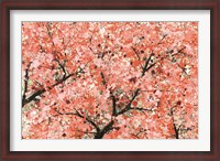 Framed Spring Theme