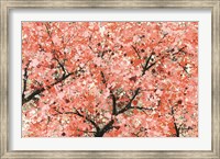 Framed Spring Theme