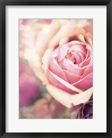 Framed Rosie Pink I