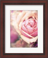 Framed Rosie Pink I