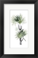 Framed Palm in Watercolor I
