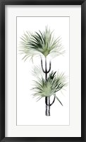 Palm in Watercolor I Framed Print