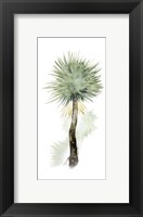 Framed Palm in Watercolor II