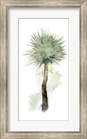 Framed Palm in Watercolor II