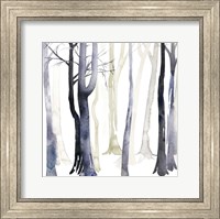 Framed In the Forest I