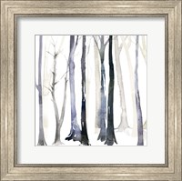 Framed In the Forest II