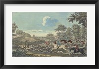 The Thrill of the Chase V Framed Print