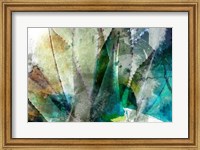 Framed Agave Abstract II