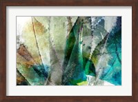Framed Agave Abstract II