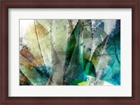 Framed Agave Abstract II