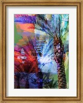 Framed Desert Palm Abstract