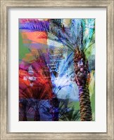 Framed Desert Palm Abstract