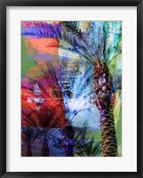 Framed Desert Palm Abstract