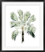 Framed Watercolor Palm of the Tropics I