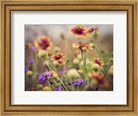 Framed Wild Blooms I