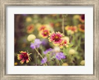 Framed Wild Blooms III