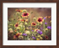 Framed Wild Blooms IV