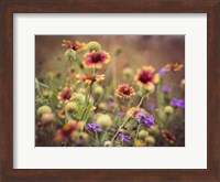 Framed Wild Blooms IV