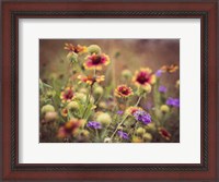 Framed Wild Blooms IV